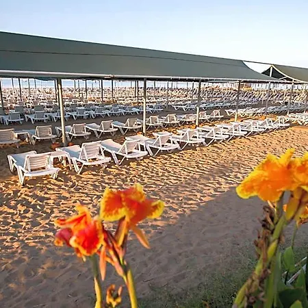 Otel Palm World & 4*